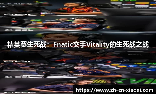 精英赛生死战：Fnatic交手Vitality的生死战之战