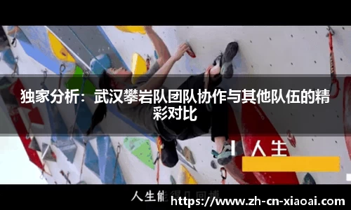 独家分析：武汉攀岩队团队协作与其他队伍的精彩对比